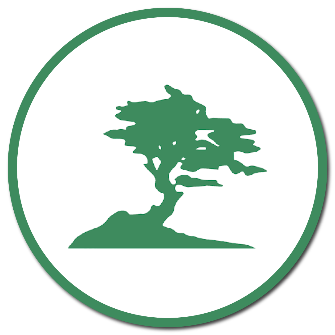 Landscape Contractor Victoria BC for Outstanding Maintenance